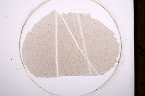 Plane Polarized, E553