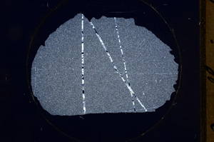 Cross Polarized, E553