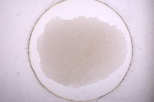 Plane Polarized, E554