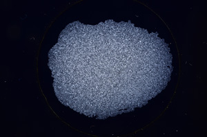 Cross Polarized, E554