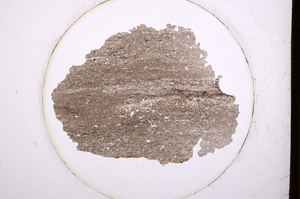 Plane Polarized, E556