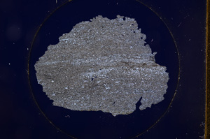 Cross Polarized, E556