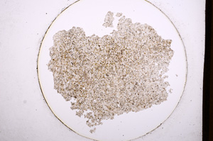 Plane Polarized, E559