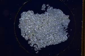 Cross Polarized, E559