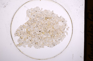 Plane Polarized, E561