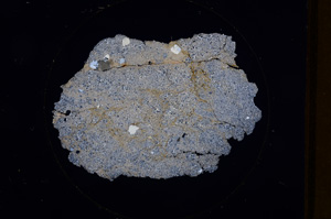 Cross Polarized, E576