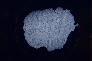 Cross Polarized, E588