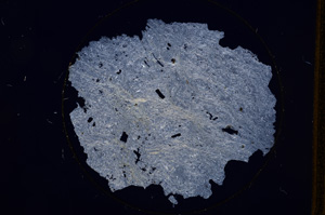 Cross Polarized, E589