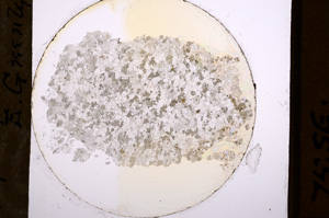 Plane Polarized, E599