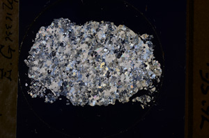 Cross Polarized, E599