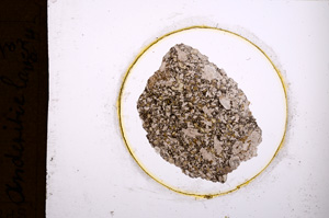 Plane Polarized, E604