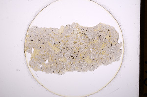 Plane Polarized, E624