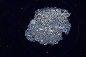 Cross Polarized, E625