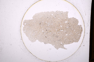 Plane Polarized, E627