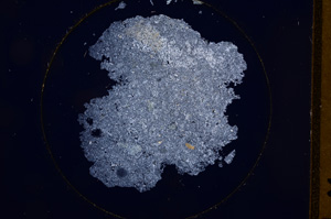 Cross Polarized, E629