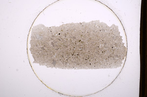 Plane Polarized, E640