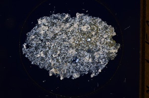 Cross Polarized, E641