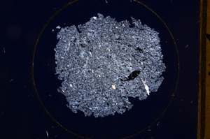 Cross Polarized, E643