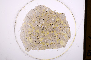 Plane Polarized, E653