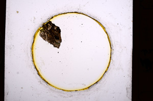 Plane Polarized, E671