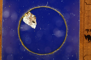 Cross Polarized, E671