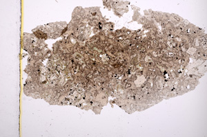 Plane Polarized, E675/A