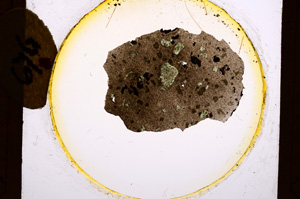 Plane Polarized, E676