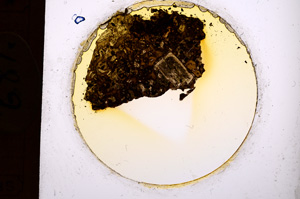 Plane Polarized, E681