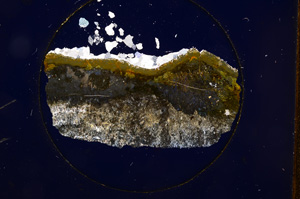 Cross Polarized, E694