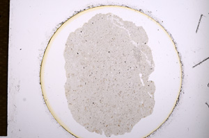 Plane Polarized, E697