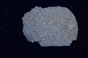 Cross Polarized, E698