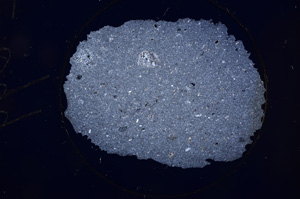 Cross Polarized, E699