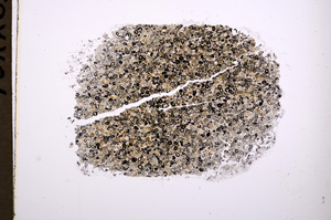 Plane Polarized, E712