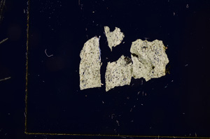 Cross Polarized, E719