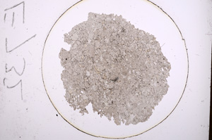 Plane Polarized, E732