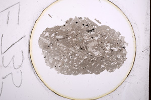 Plane Polarized, E735