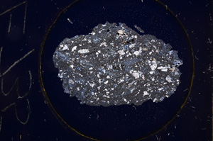 Cross Polarized, E735