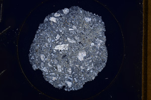 Cross Polarized, E737