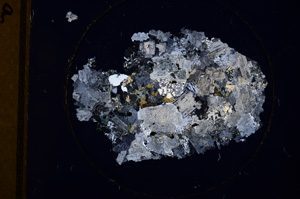 Cross Polarized, E750