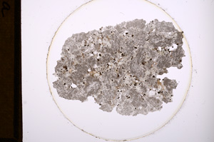 Plane Polarized, E753