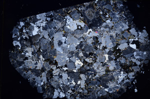 Cross Polarized, E764