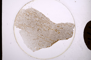 Plane Polarized, E771