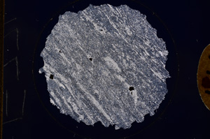 Cross Polarized, E774