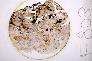 Plane Polarized, E803