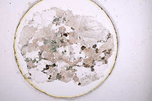 Plane Polarized, E807/A