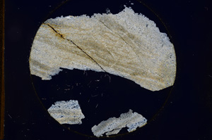 Cross Polarized, E818