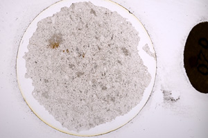 Plane Polarized, E820