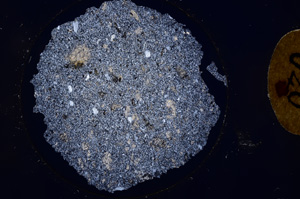 Cross Polarized, E820