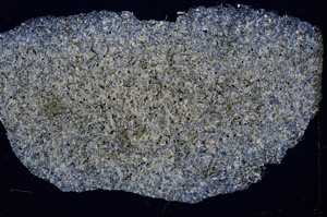 Cross Polarized, E828/A