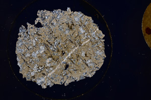 Cross Polarized, E840